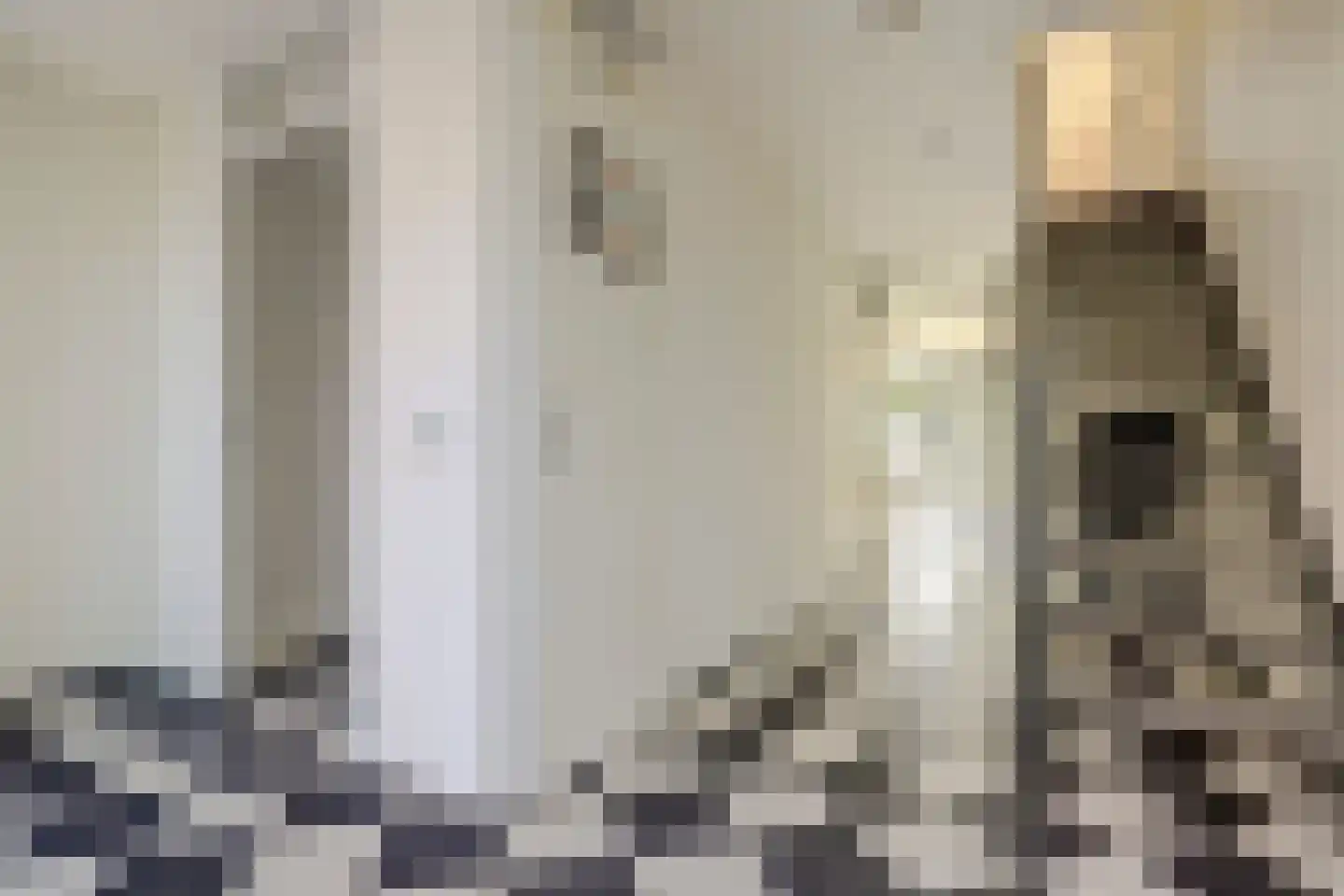 Kokardebloem 83 Papendrecht thumbnail 7