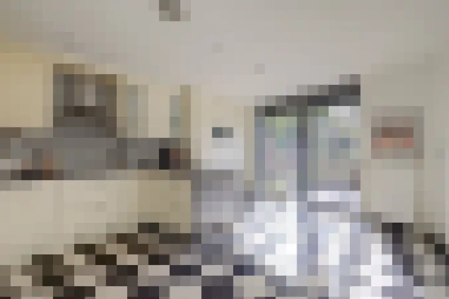 Kokardebloem 83 Papendrecht thumbnail 9