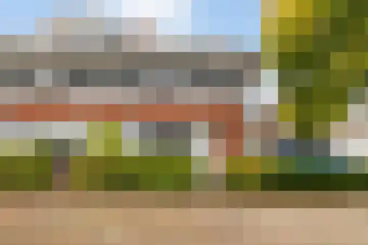 Kokardebloemlaan 11 dans Vleuten
