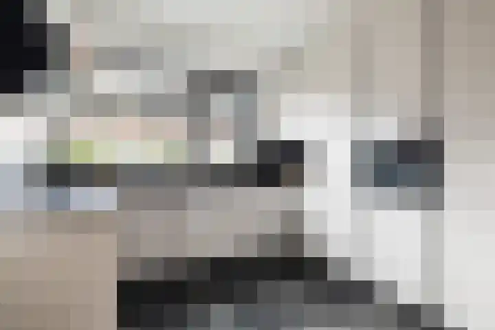 Kokardebloemlaan 11 Vleuten thumbnail 10