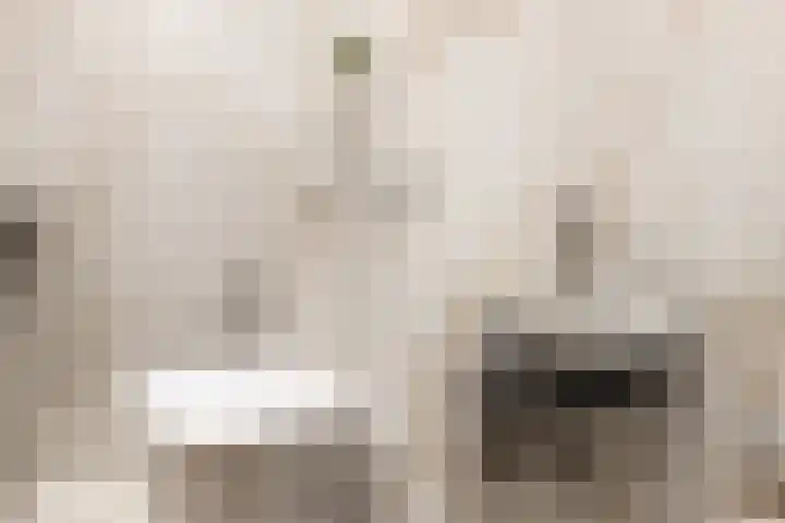 Kokardebloemlaan 11 Vleuten thumbnail 11