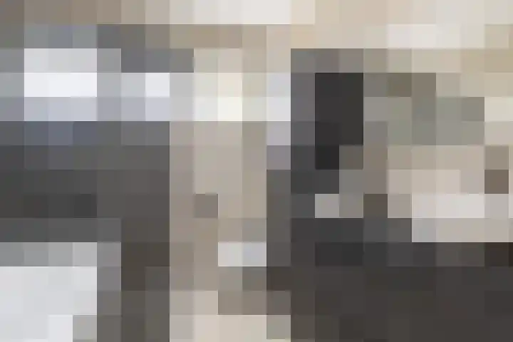 Kokardebloemlaan 11 Vleuten thumbnail 18