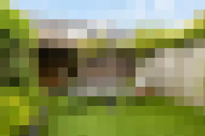 Kokardebloemlaan 11 Vleuten thumbnail 22