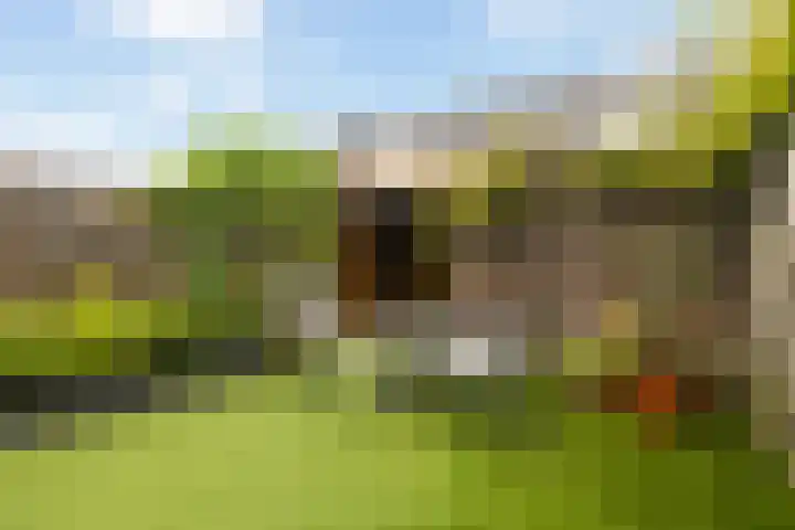 Kokardebloemlaan 11 Vleuten thumbnail 23