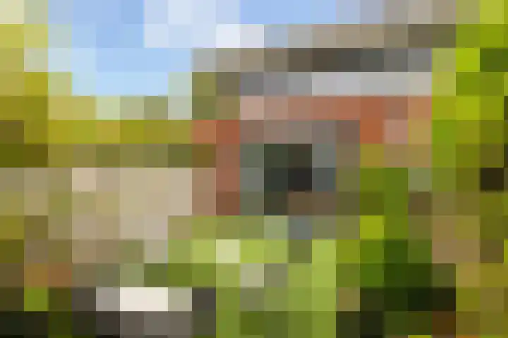 Kokardebloemlaan 11 Vleuten thumbnail 24