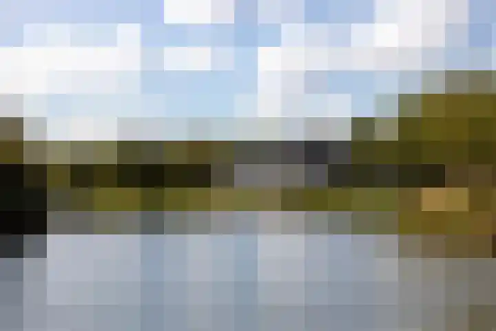Kokardebloemlaan 11 Vleuten thumbnail 27