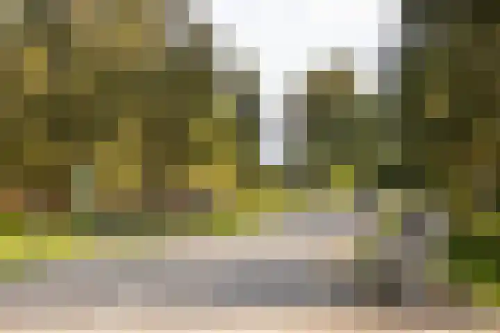 Kokardebloemlaan 11 Vleuten thumbnail 30