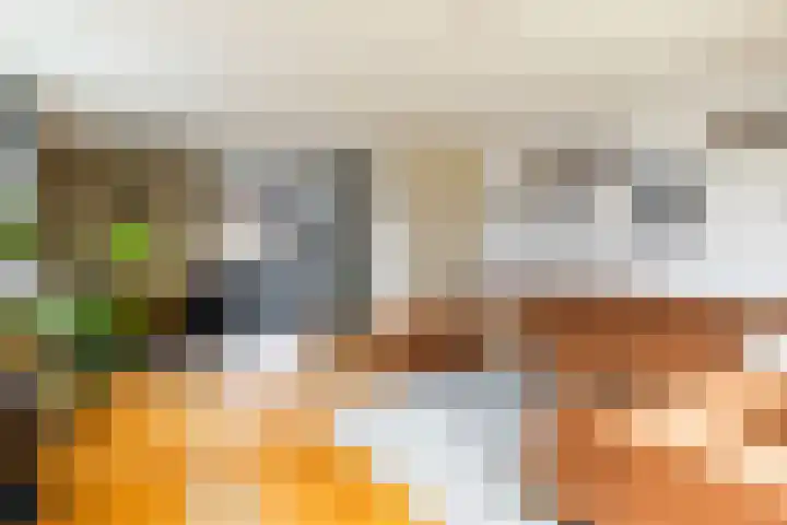 Kokardebloemlaan 11 Vleuten thumbnail 7