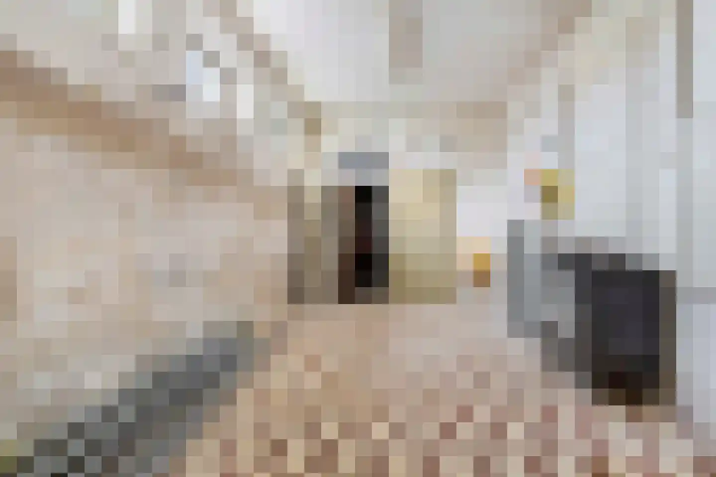 Kokelestraat 44 Kerkrade thumbnail 53
