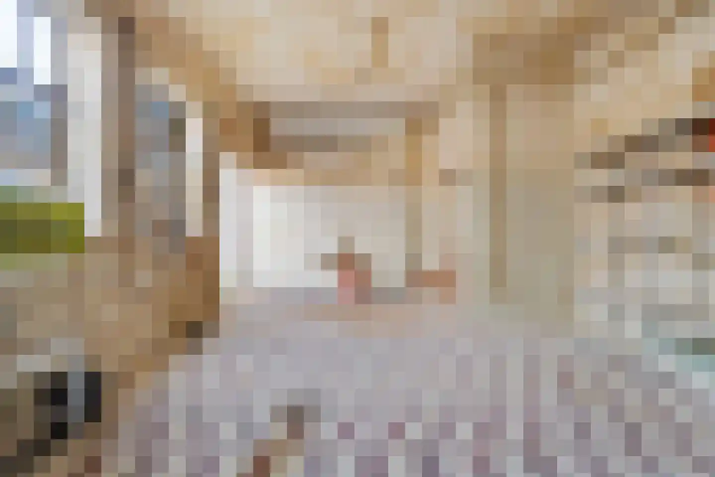 Kokelestraat 44 Kerkrade thumbnail 54