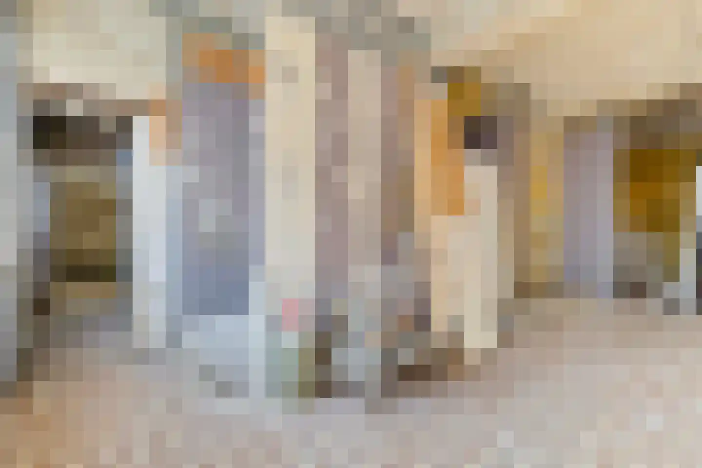 Kokelestraat 44 Kerkrade thumbnail 59