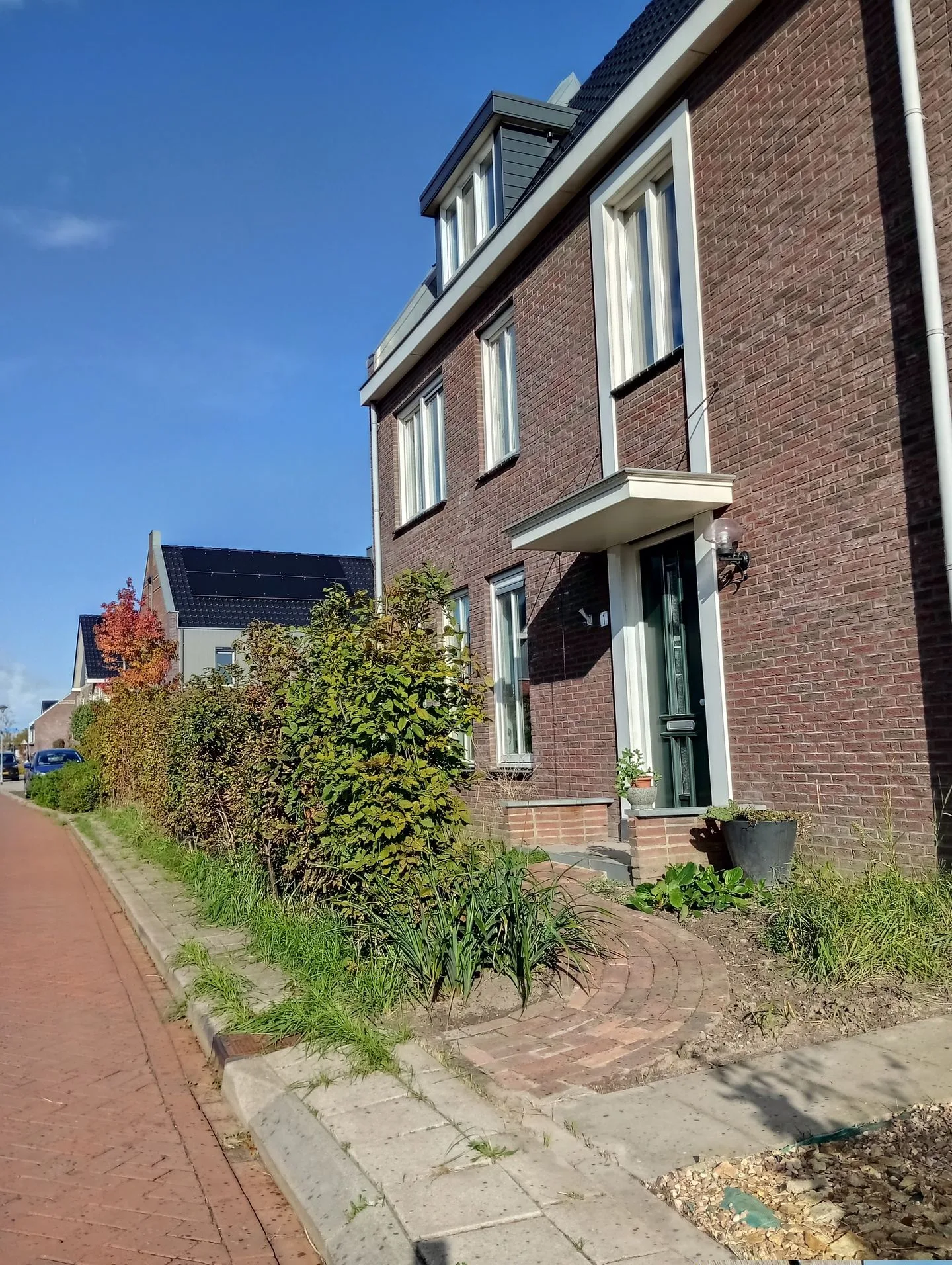 Kokerbijl 1 Grootebroek foto 3