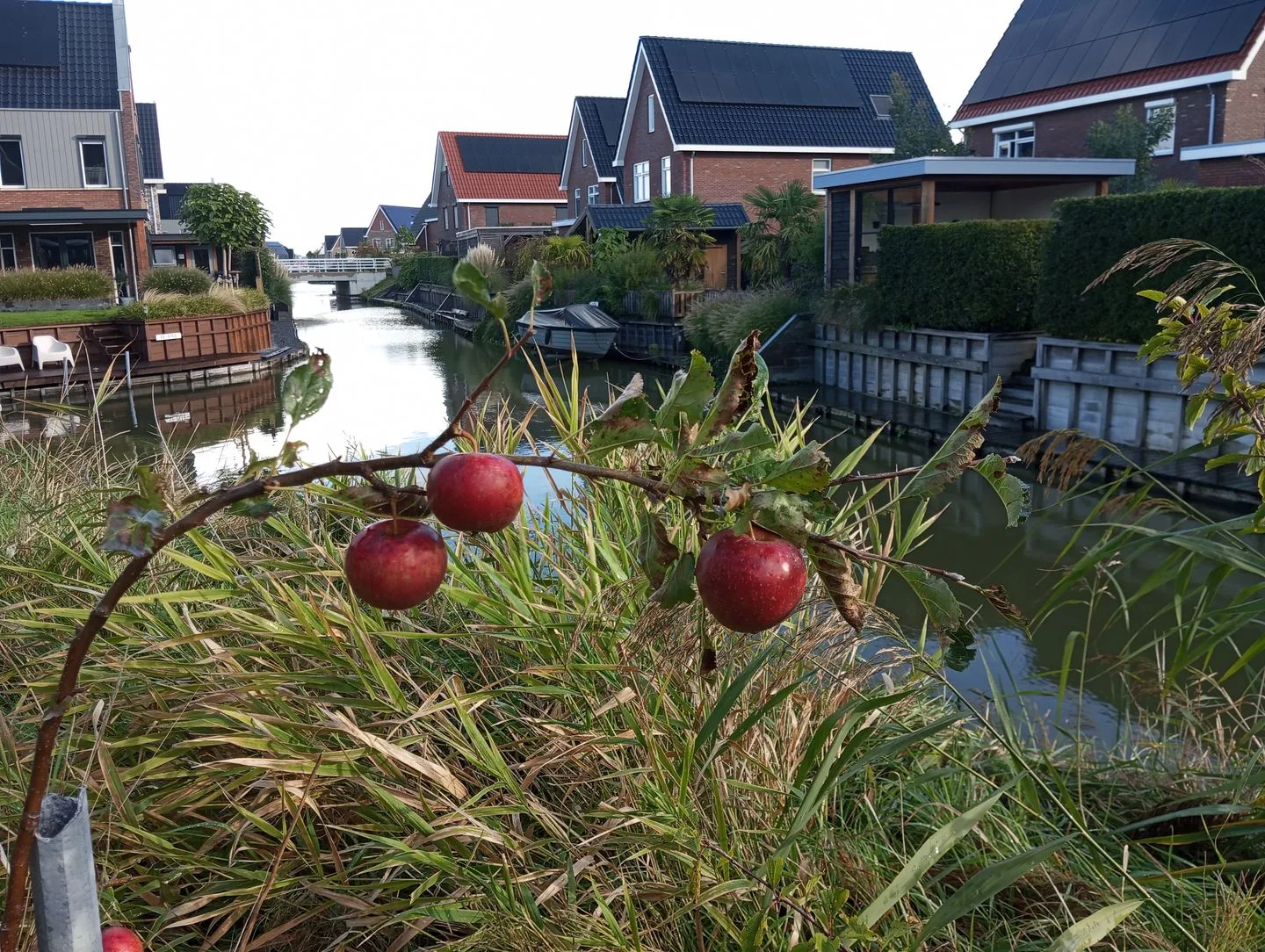 Kokerbijl 1 Grootebroek thumbnail 30