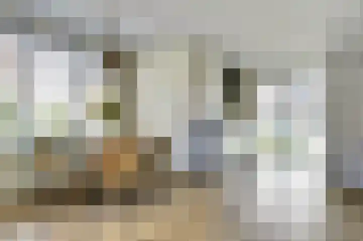 Kokerbijl 8 Grootebroek thumbnail 10