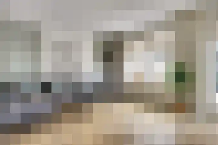 Kokerbijl 8 Grootebroek thumbnail 13