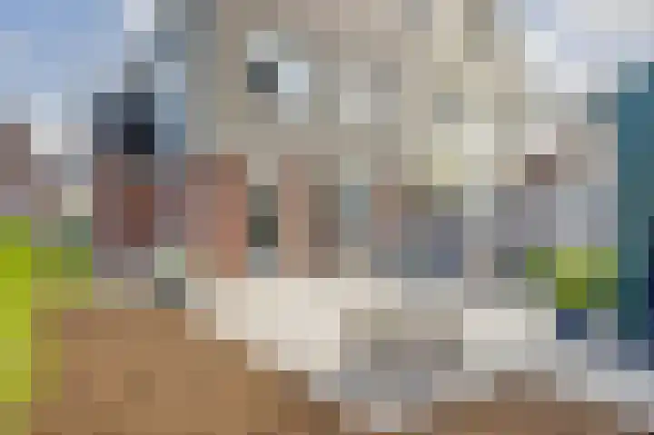 Kokerbijl 8 Grootebroek thumbnail 15