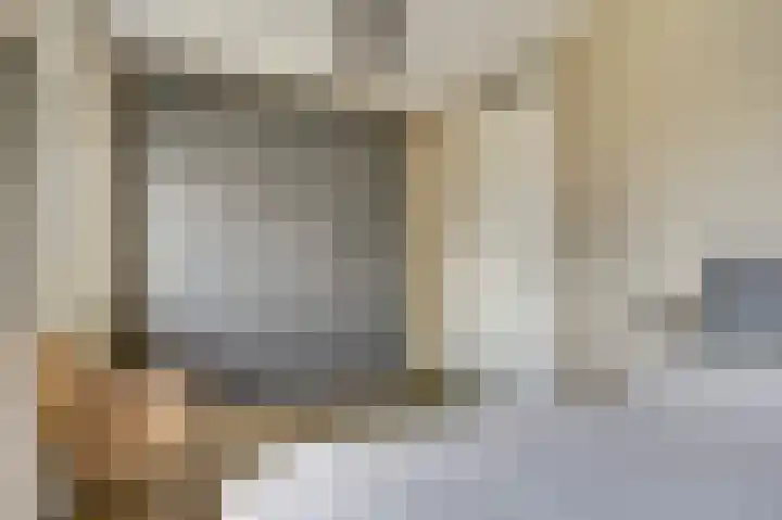Kokerbijl 8 Grootebroek thumbnail 20