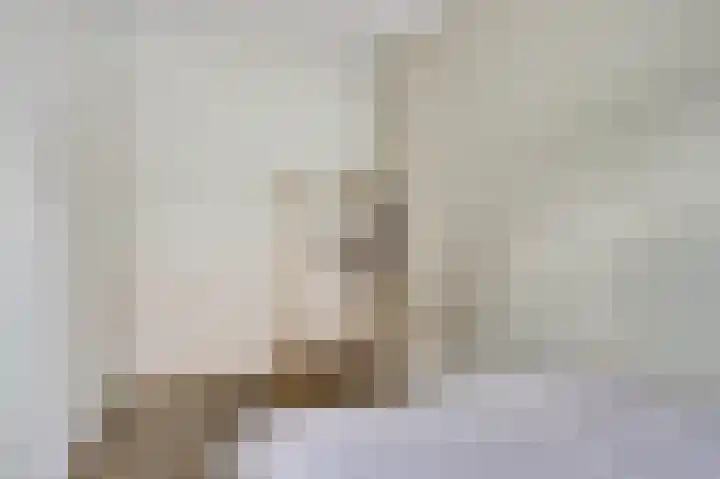 Kokerbijl 8 Grootebroek thumbnail 22