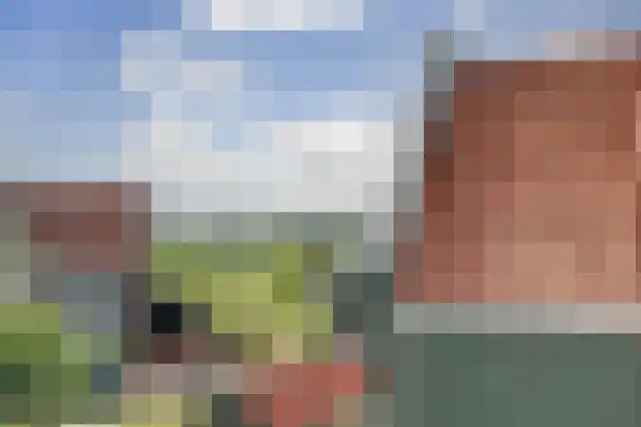 Kokerbijl 8 Grootebroek thumbnail 30