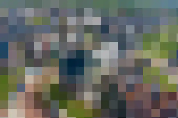 Kokerbijl 8 Grootebroek thumbnail 33