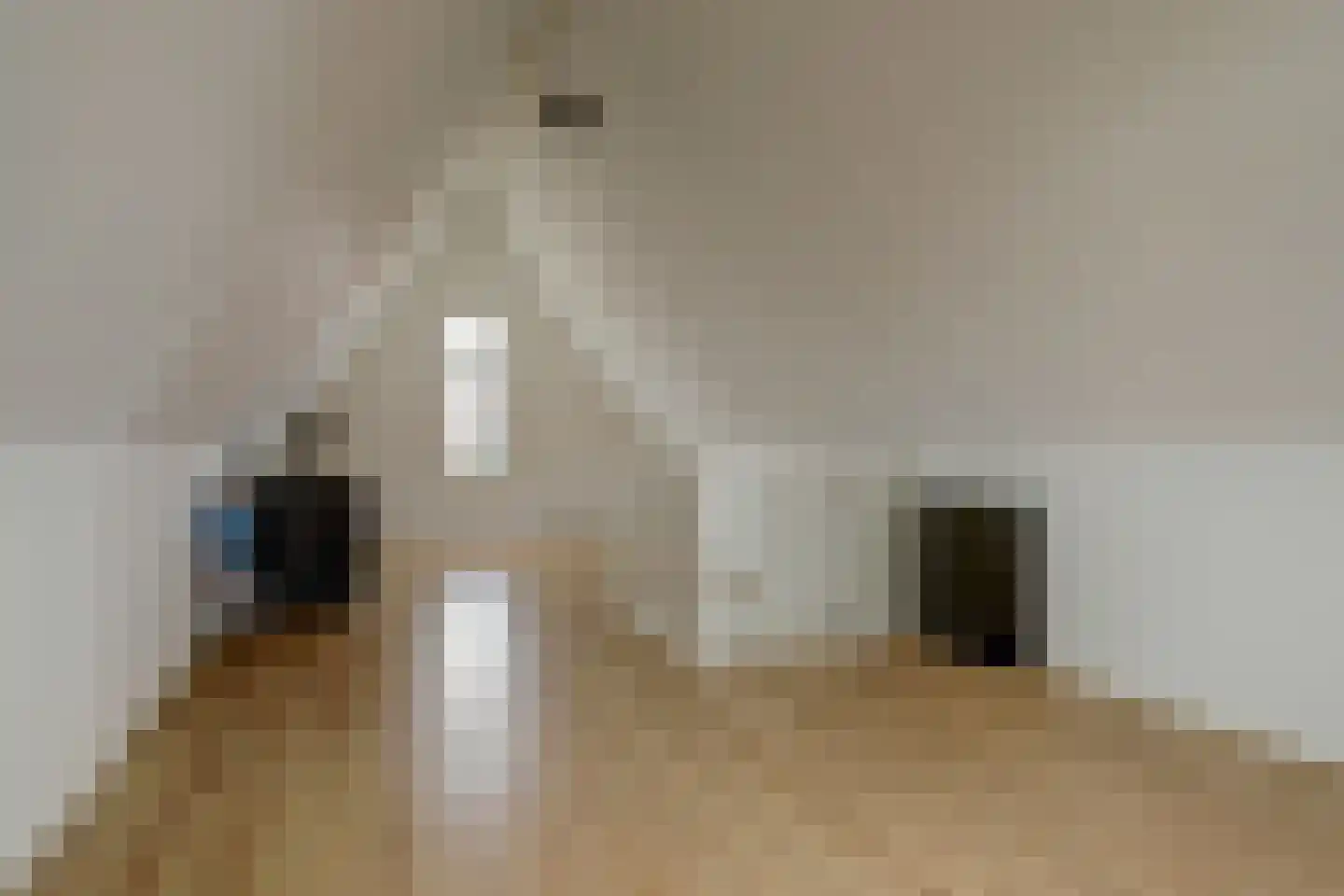 Kokerbijl 8 Grootebroek thumbnail 33