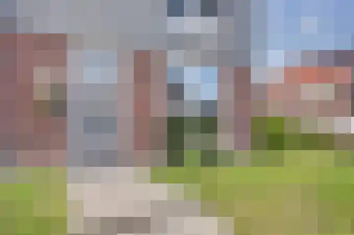 Kokerbijl 8 Grootebroek thumbnail 5