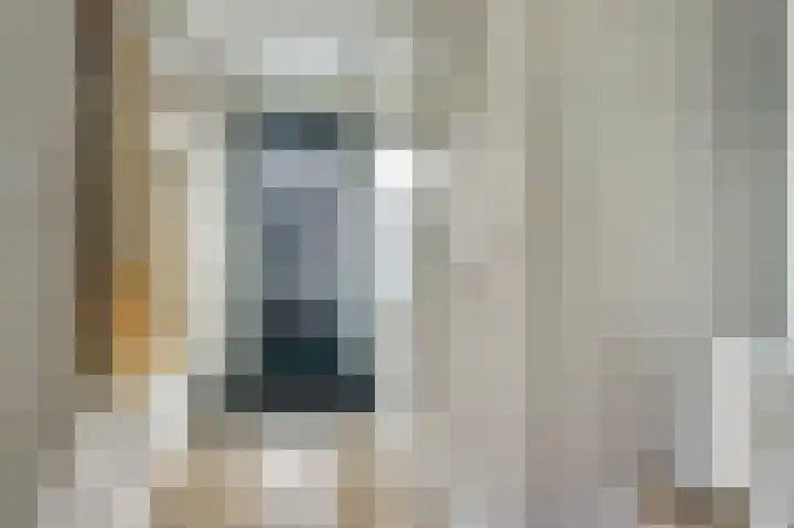 Kokerbijl 8 Grootebroek thumbnail 6