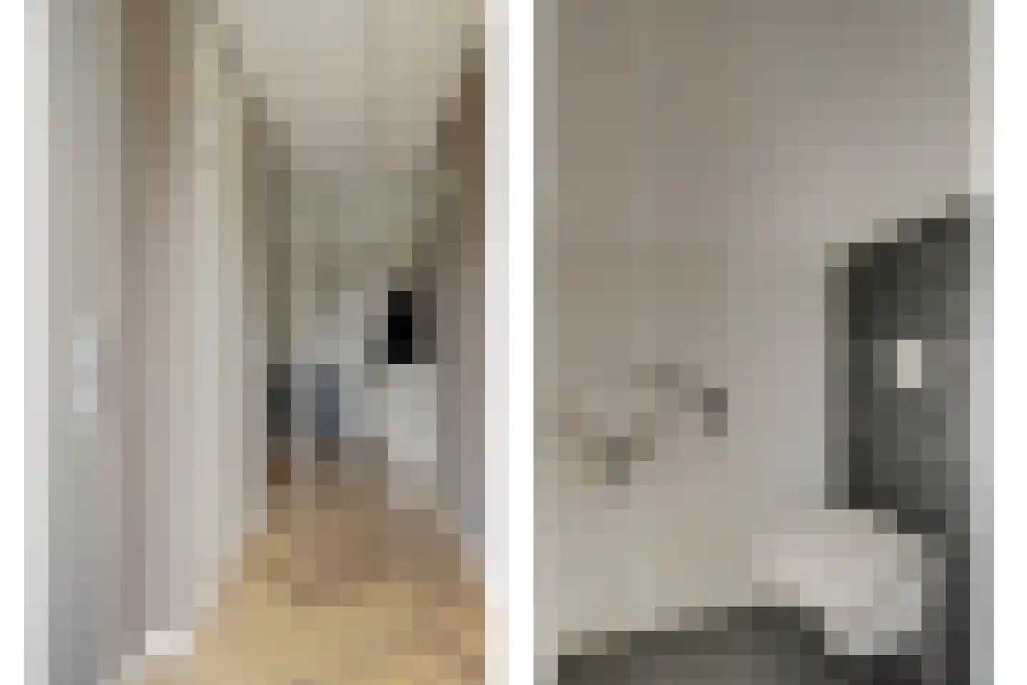 Kokerbijl 8 Grootebroek thumbnail 6