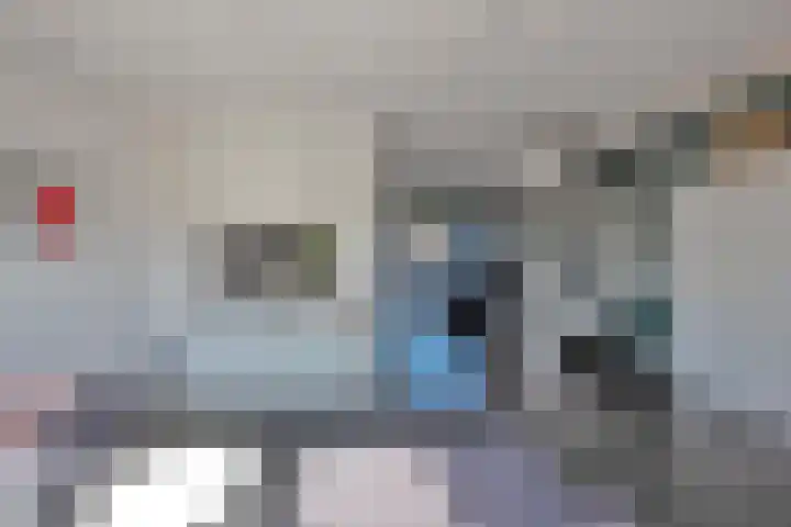 Kokerjuffer 15 Hengelo thumbnail 10
