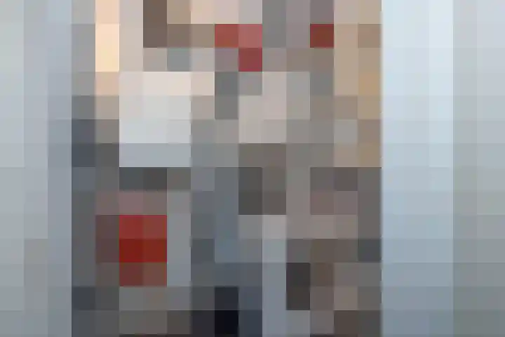 Kokerjuffer 15 Hengelo thumbnail 19