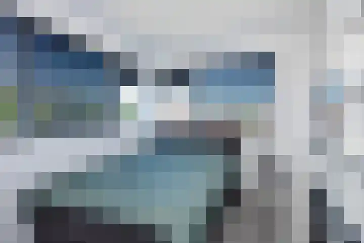 Kokerjuffer 15 Hengelo thumbnail 32