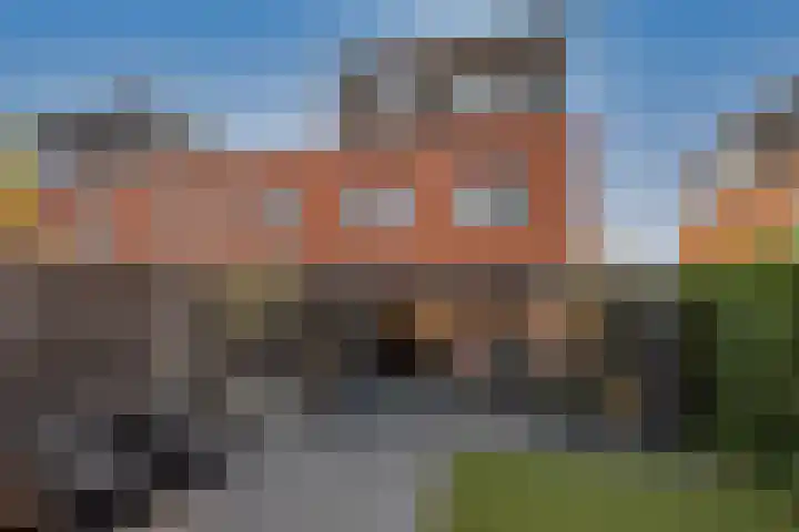 Kokerjuffer 15 Hengelo thumbnail 34