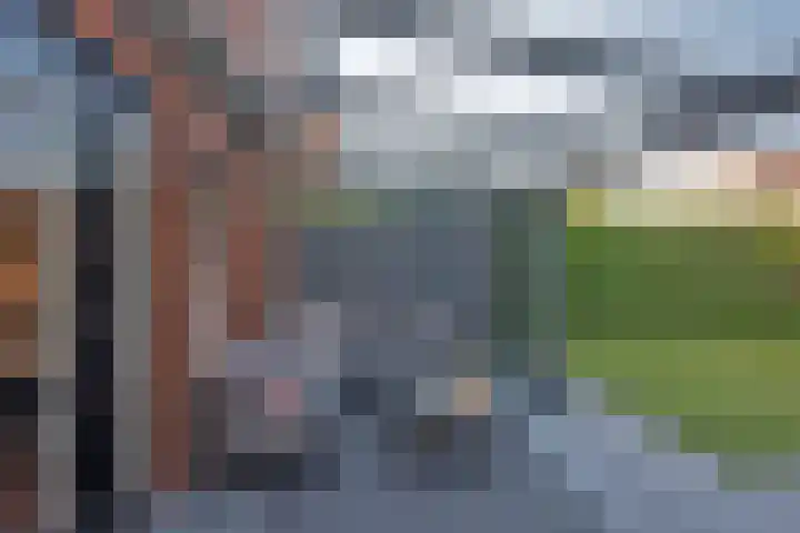 Kokerjuffer 15 Hengelo thumbnail 35