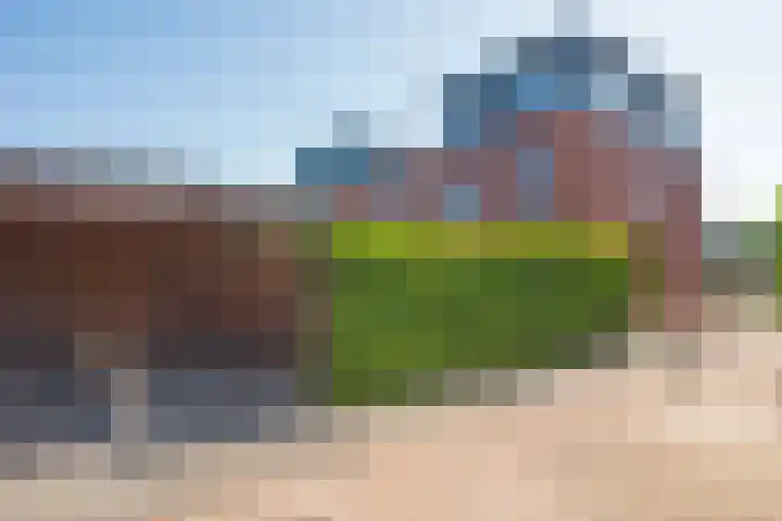 Kokerjuffer 15 Hengelo thumbnail 39