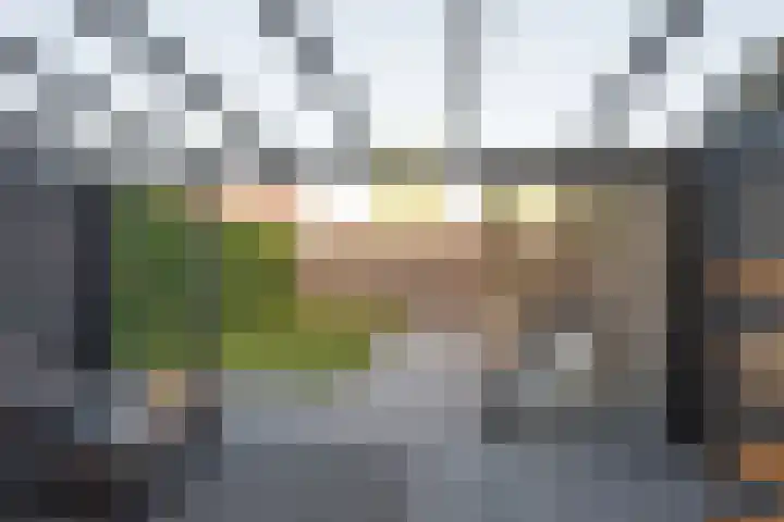 Kokerjuffer 15 Hengelo thumbnail 4