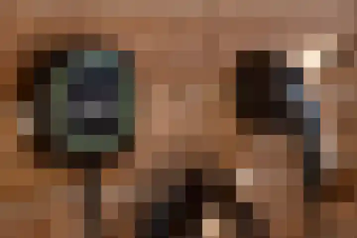 Kokerjuffer 15 Hengelo thumbnail 40