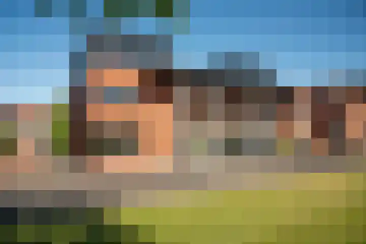 Kokerjuffer 15 Hengelo thumbnail 41