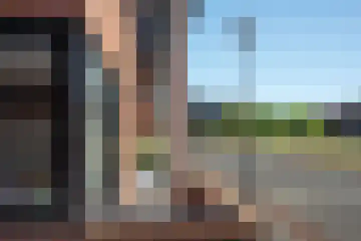 Kokerjuffer 15 Hengelo thumbnail 42