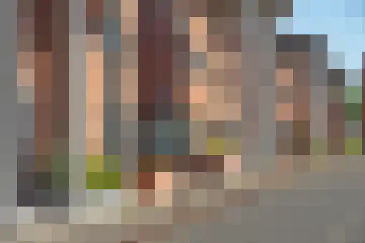 Kokerjuffer 15 Hengelo thumbnail 43