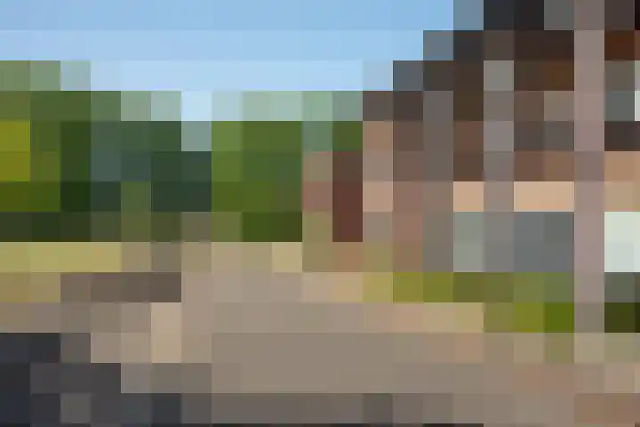 Kokerjuffer 15 Hengelo thumbnail 44