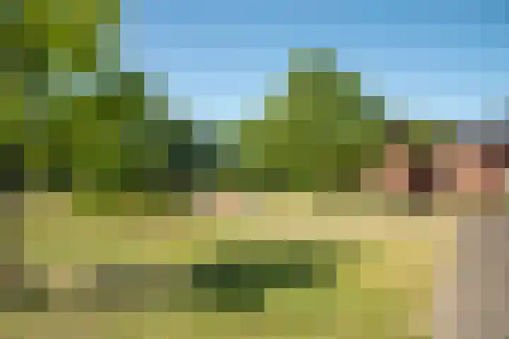 Kokerjuffer 15 Hengelo thumbnail 45