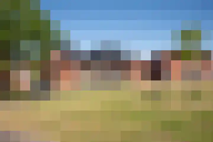 Kokerjuffer 15 Hengelo thumbnail 46