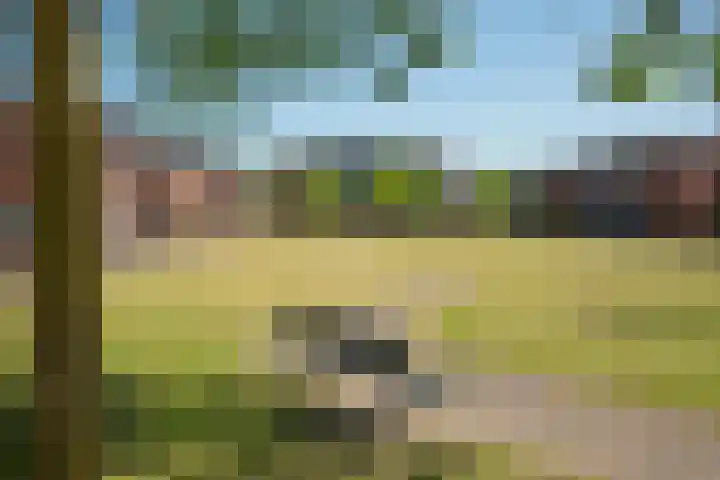 Kokerjuffer 15 Hengelo thumbnail 47