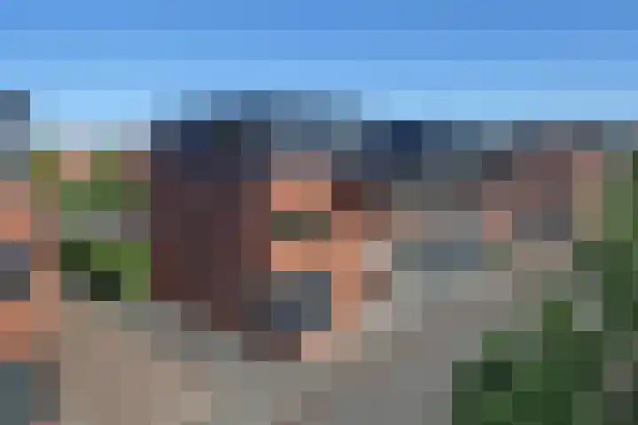 Kokerjuffer 15 Hengelo thumbnail 5