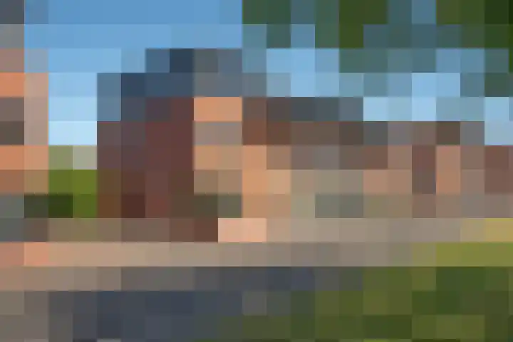 Kokerjuffer 15 Hengelo thumbnail 53