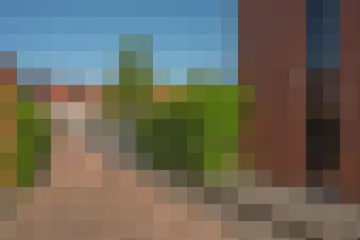 Kokerjuffer 15 Hengelo thumbnail 6