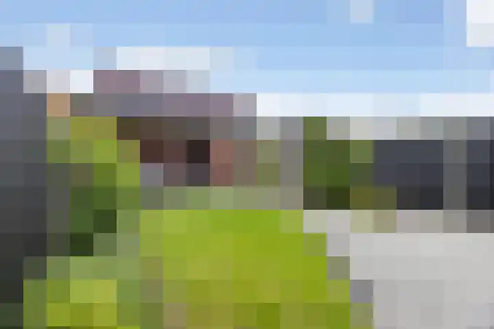 Kokerjuffer 27 Hengelo thumbnail 10