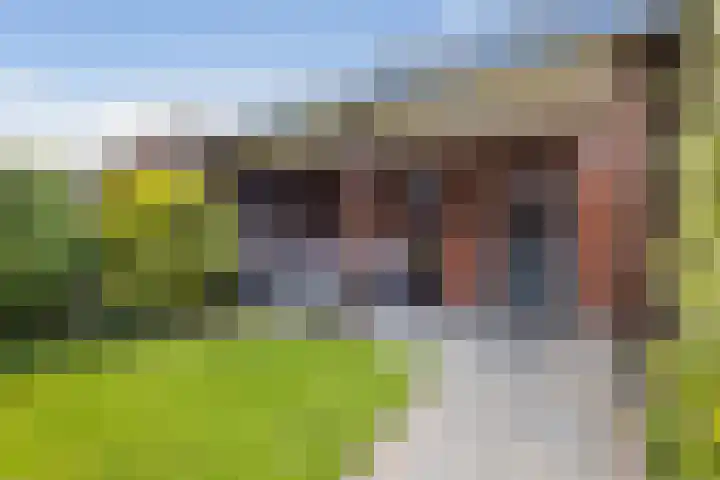 Kokerjuffer 27 Hengelo thumbnail 11