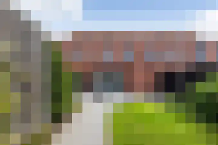 Kokerjuffer 27 Hengelo thumbnail 13