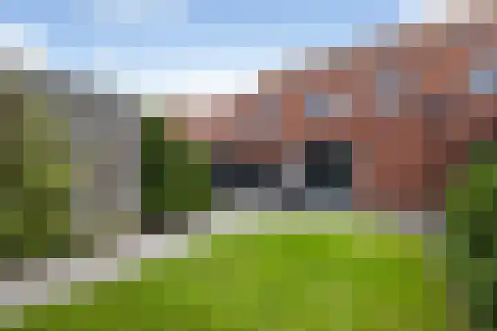 Kokerjuffer 27 Hengelo thumbnail 14